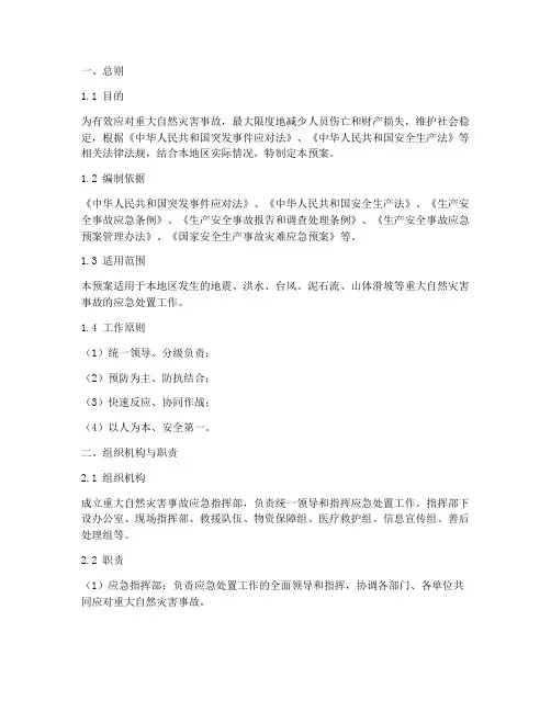 重大自然灾害事故应急预案