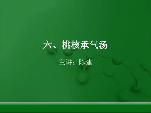 六、桃核承气汤