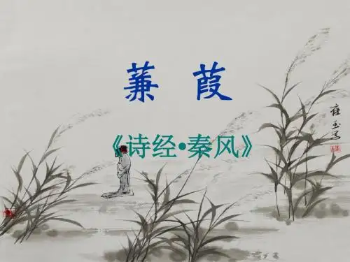 大学语文教学课件《蒹葭》