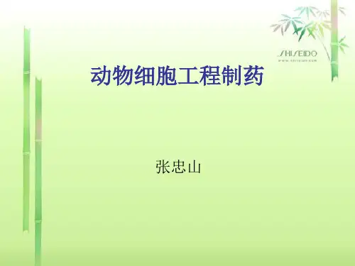 生物制药 动物细胞工程制药