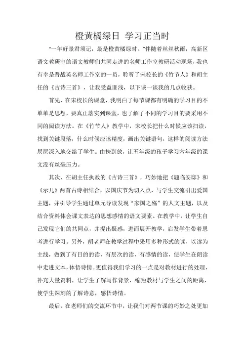 竹节人听课心得体会