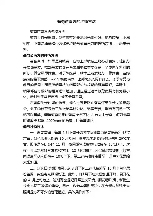 葡萄苗南方的种植方法