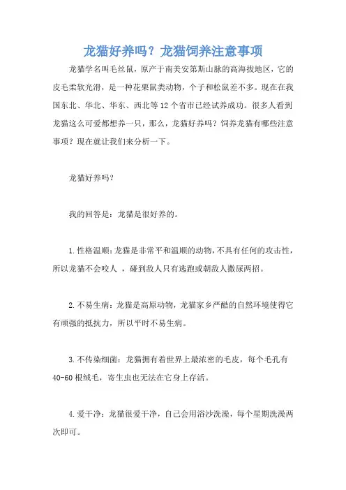龙猫好养吗？龙猫饲养注意事项