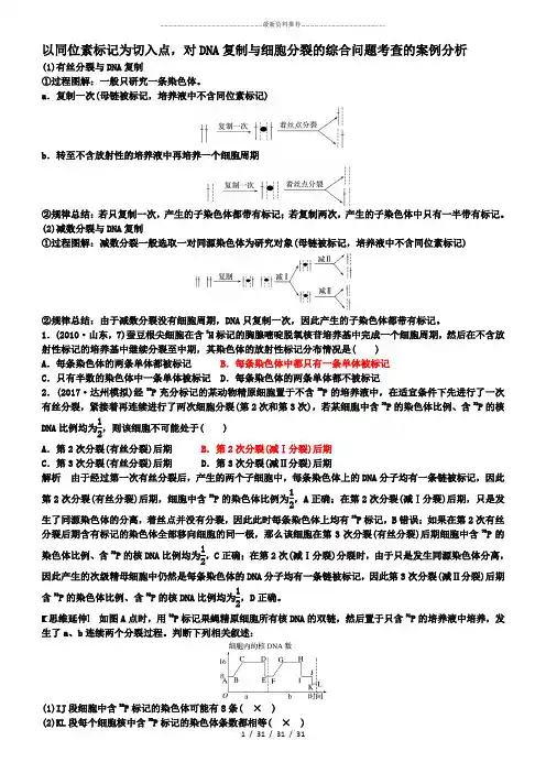 同位素标记与细胞分裂