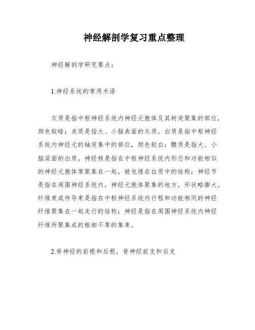 神经解剖学复习重点整理