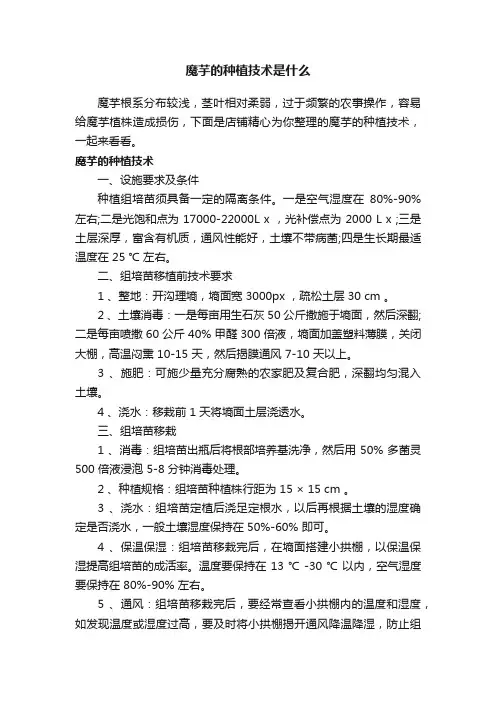 魔芋的种植技术是什么