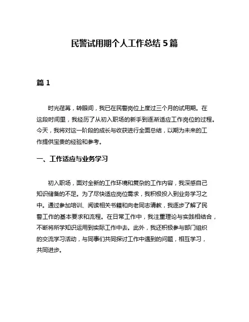 民警试用期个人工作总结5篇