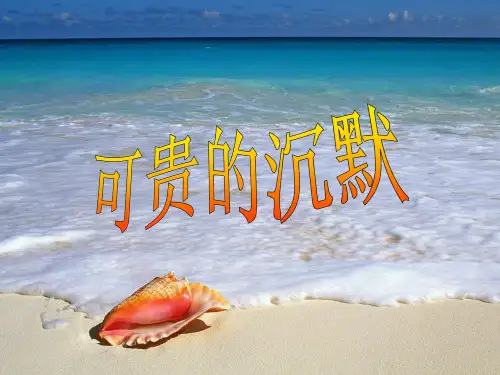 209可贵的沉默PPT课件
