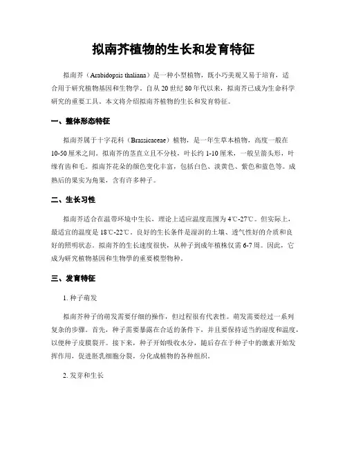 拟南芥植物的生长和发育特征