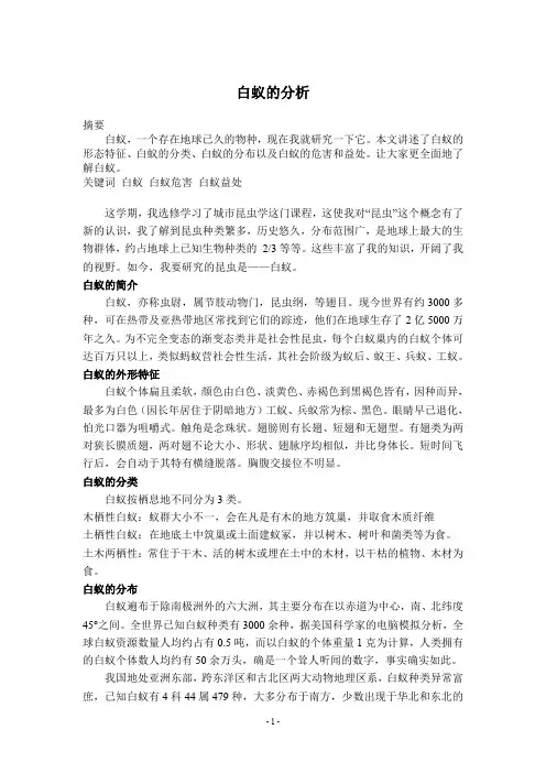 白蚁的分析