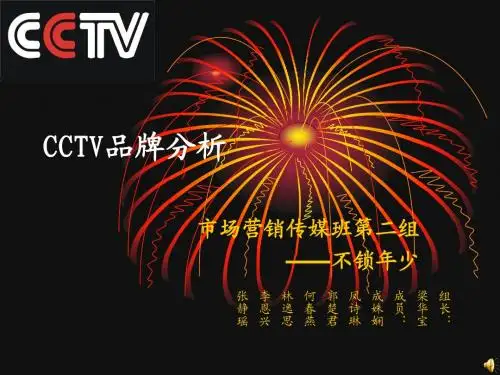 CCTV品牌分析(不锁年少)