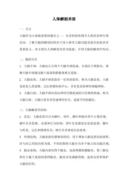 人体解剖术语