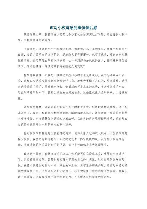 面对小夜莺感到羞愧读后感