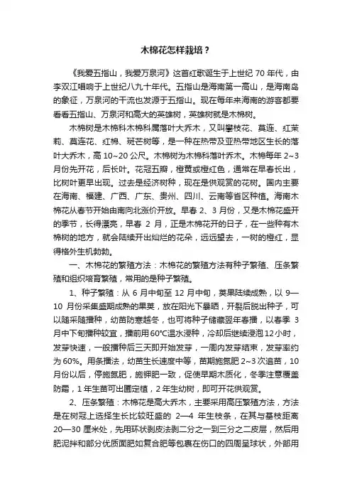 木棉花怎样栽培？