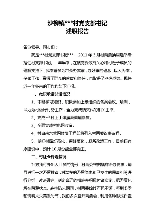 2012年村党支部书记述职报告