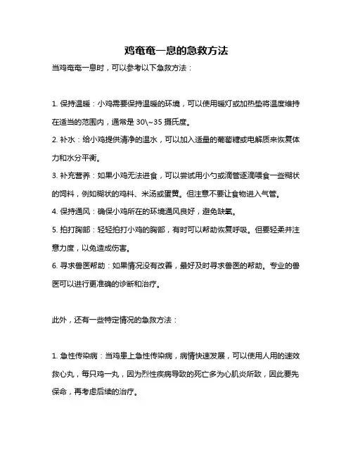 鸡奄奄一息的急救方法