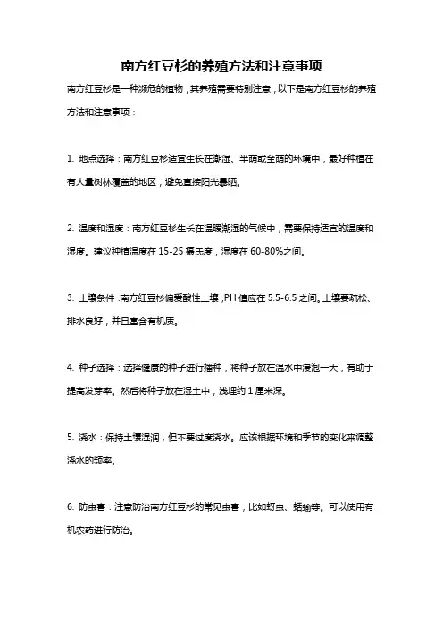 南方红豆杉的养殖方法和注意事项