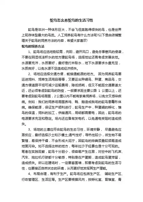 鸵鸟怎么养鸵鸟的生活习性