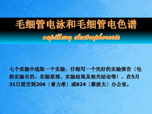毛细管电泳和毛细管电色谱ppt课件