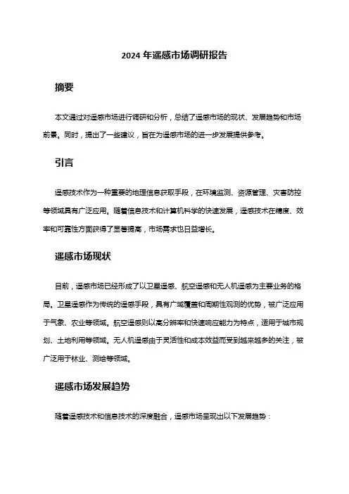 2024年遥感市场调研报告