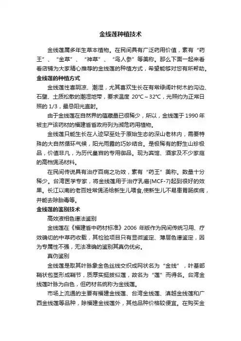 金线莲种植技术