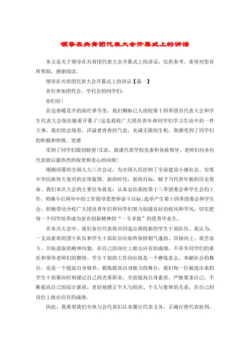 领导在共青团代表大会开幕式上的讲话