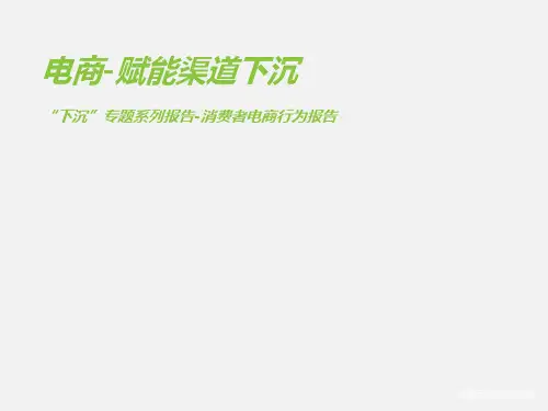 下沉市场电商研究报告最新PPT课件
