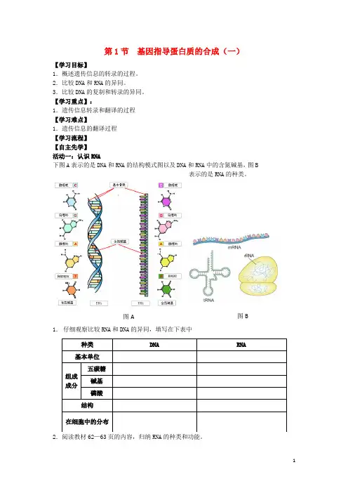 部编版2020高中生物 第4章 基因的表达 第1节 基因指导蛋白质的合成(1)导学案