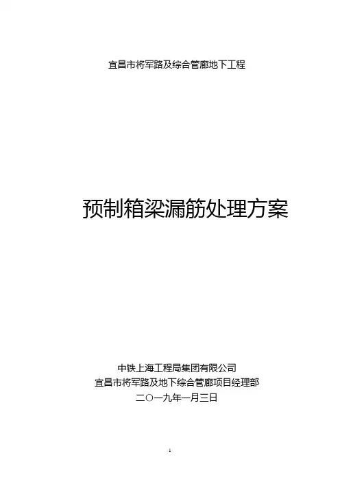 箱梁漏筋处理方案