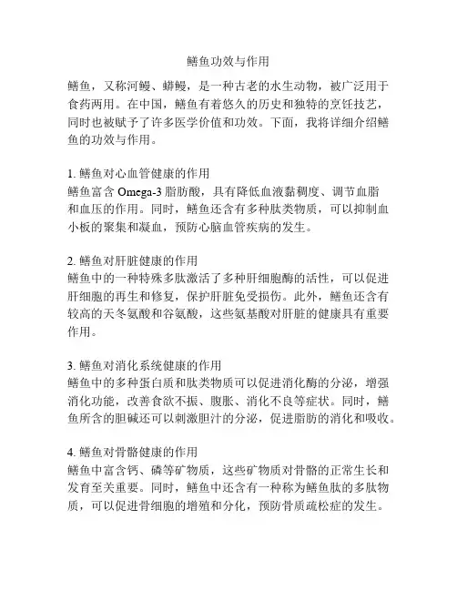 鳝鱼功效与作用