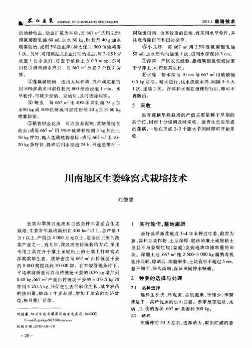 川南地区生姜蜂窝式栽培技术