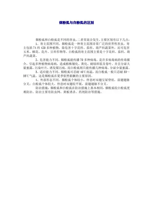 烟粉虱与白粉虱的区别