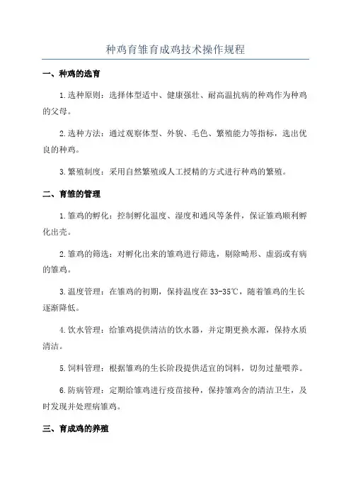 种鸡育雏育成鸡技术操作规程