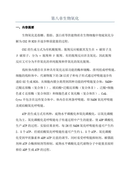 第八章生物氧化