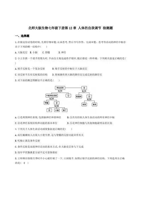 北师大版生物七年级下册 第12章 人体的自我调节 检测题