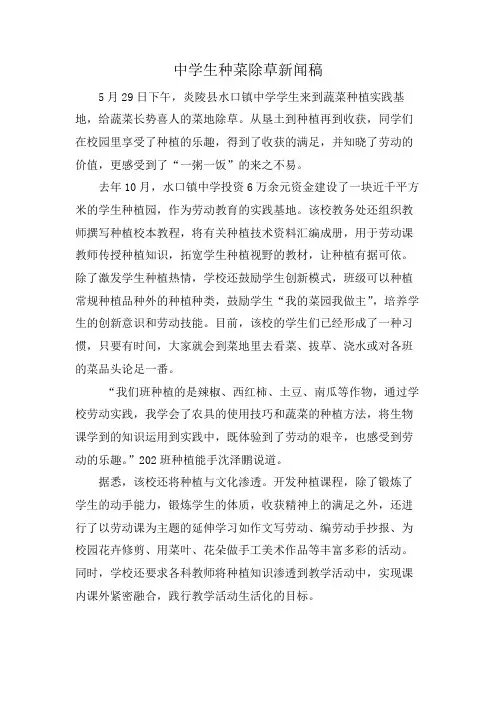 中学生种菜除草新闻稿