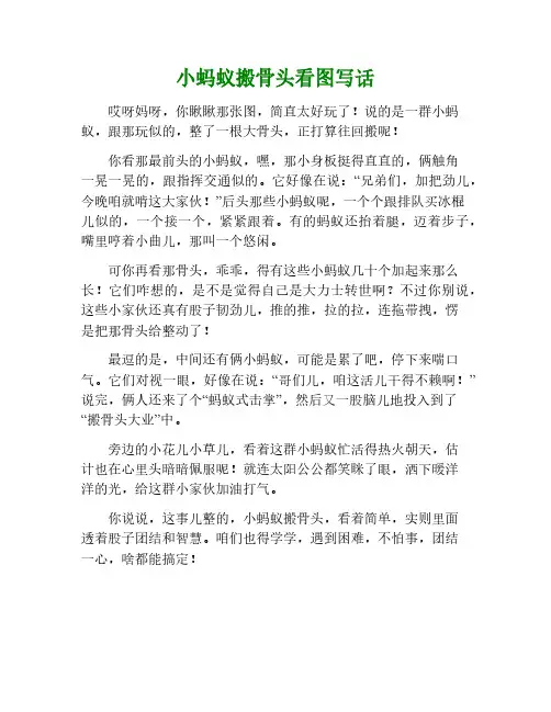小蚂蚁搬骨头看图写作文