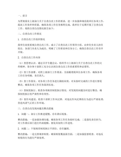 报告自查自改情况
