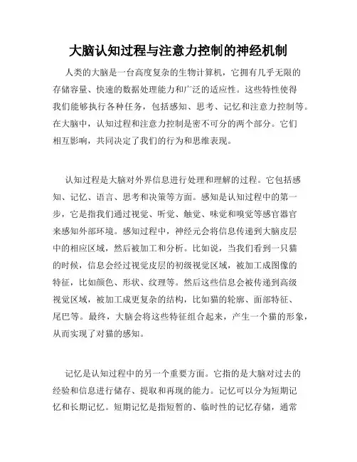 大脑认知过程与注意力控制的神经机制