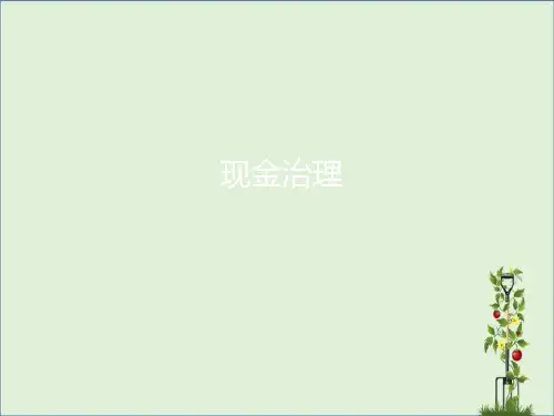 2.2现金管理的法律规定解析