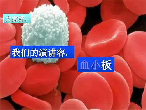 血小板及其功能ppt课件