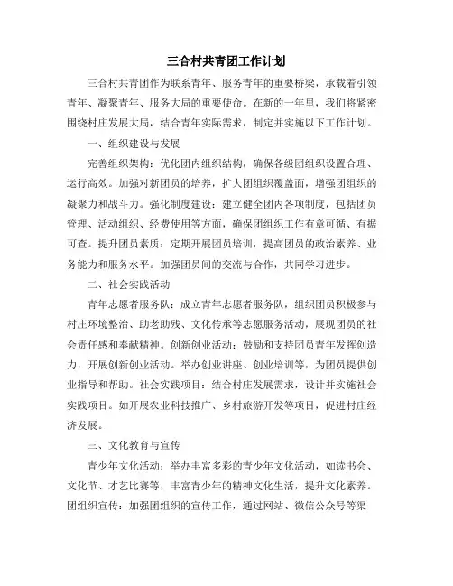 三合村共青团工作计划
