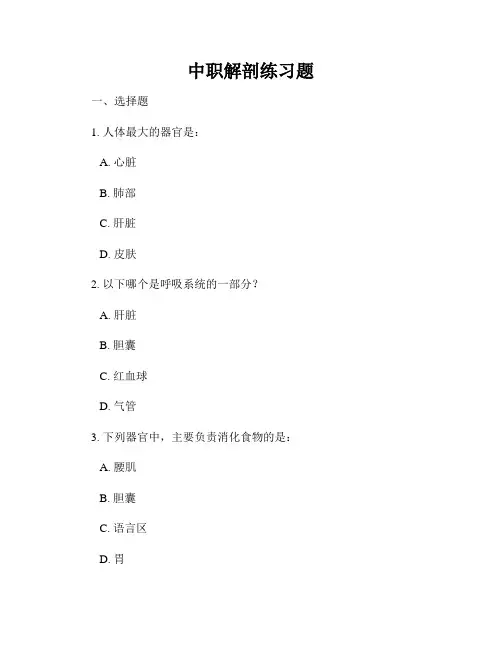 中职解剖练习题