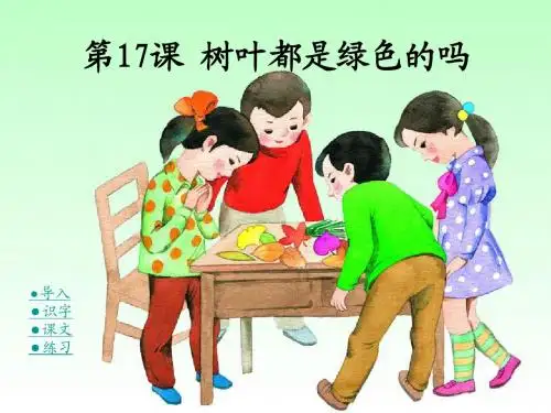 《树叶都是绿色的吗》PPT课件4 (共14张PPT)