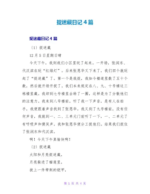 捉迷藏日记4篇