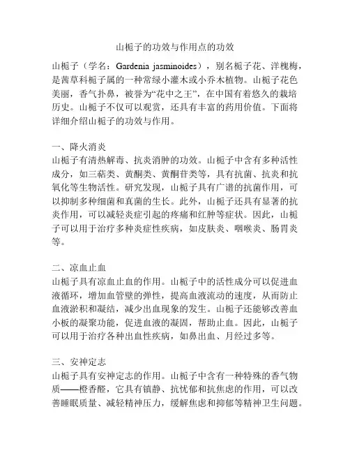 山栀子的功效与作用点的功效