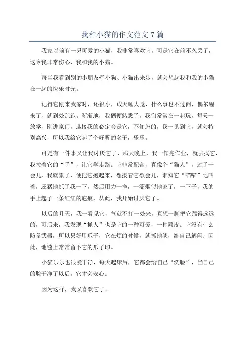 我和小猫的作文范文7篇