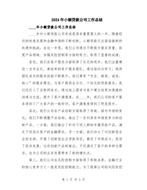 2024年小额贷款公司工作总结