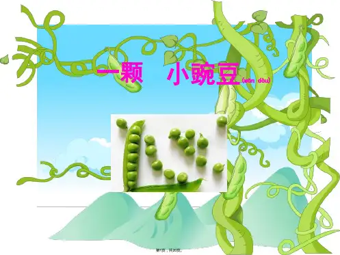 S版三年级上册20《一颗小豌豆》课件PPT(共20张)