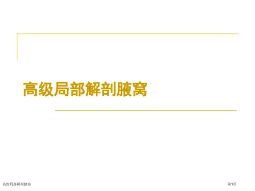 高级局部解剖腋窝